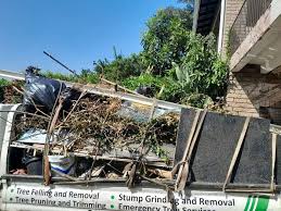 Best Hoarding Cleanup  in Hill N Dale, FL